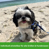 HABOZ GoGassi - Ergonomisches Hundegeschirr für schmerzfreies Tragen