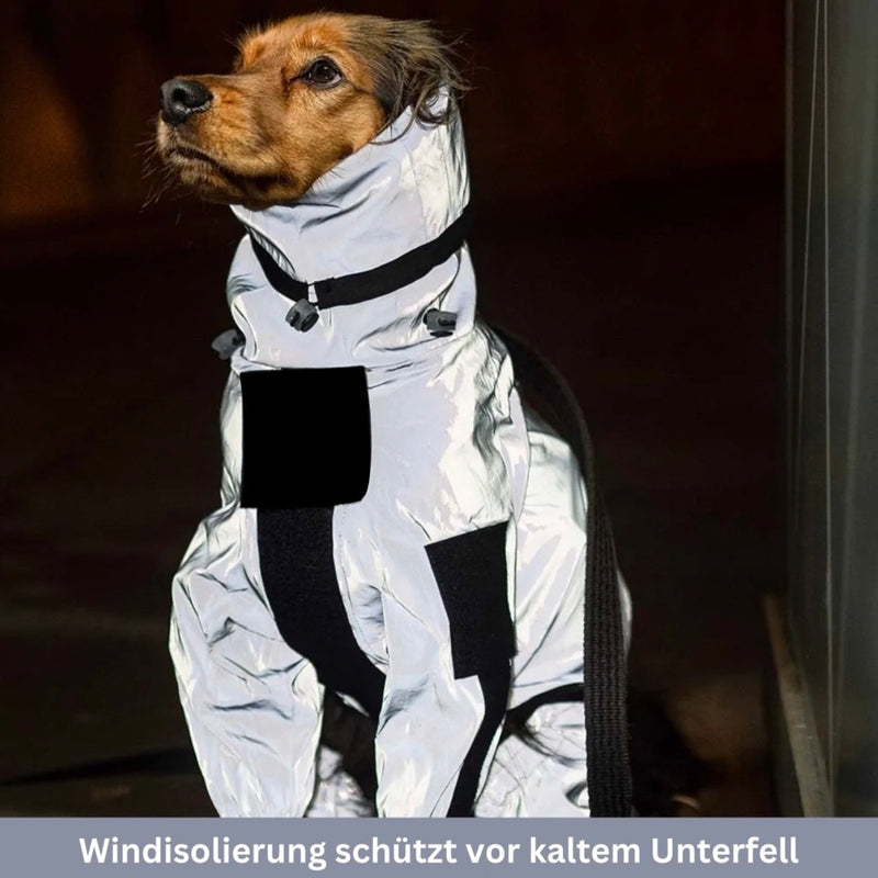 HABOZ GoMantel - Premium Hundejacke für Gesundheit und Schutz bei Kälte