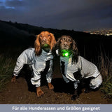 HABOZ GoMantel - Premium Hundejacke für Gesundheit und Schutz bei Kälte