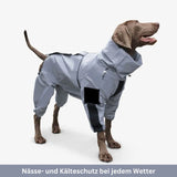 HABOZ GoMantel - Premium Hundejacke für Gesundheit und Schutz bei Kälte