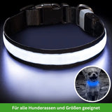 HABOZ GoPremium - Innovatives Hundehalsband für sorgenfreie Spaziergänge