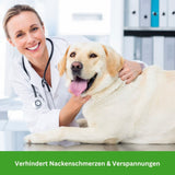 HABOZ GoGassi - Ergonomisches Hundegeschirr für schmerzfreies Tragen