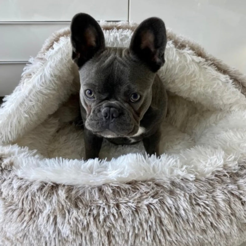 HABOZ GoHöhle - Ergonomische Hundehöhle für gelenkschonende Schläfchen