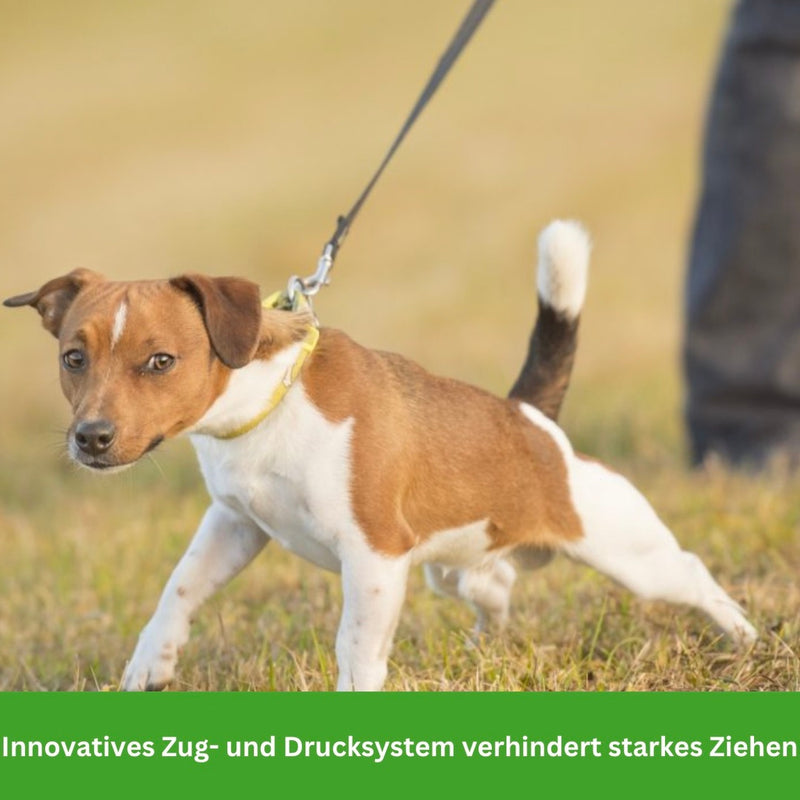 HABOZ GoGassi - Ergonomisches Hundegeschirr für schmerzfreies Tragen