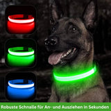 HABOZ GoPremium - Innovatives Hundehalsband für sorgenfreie Spaziergänge