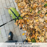 HABOZ GoTermo - Einzigartige Hundejacke für Spaziergänge bei jedem Wetter