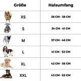 HABOZ GoPremium - Innovatives Hundehalsband für sorgenfreie Spaziergänge