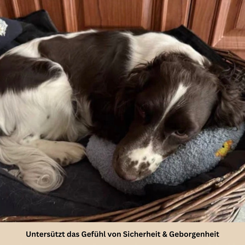 HABOZ GoKissen  - Einzigartiges Hundekissen für erholsame Schläfchen