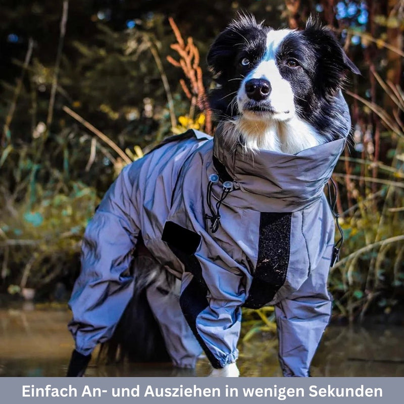 HABOZ GoMantel - Premium Hundejacke für Gesundheit und Schutz bei Kälte