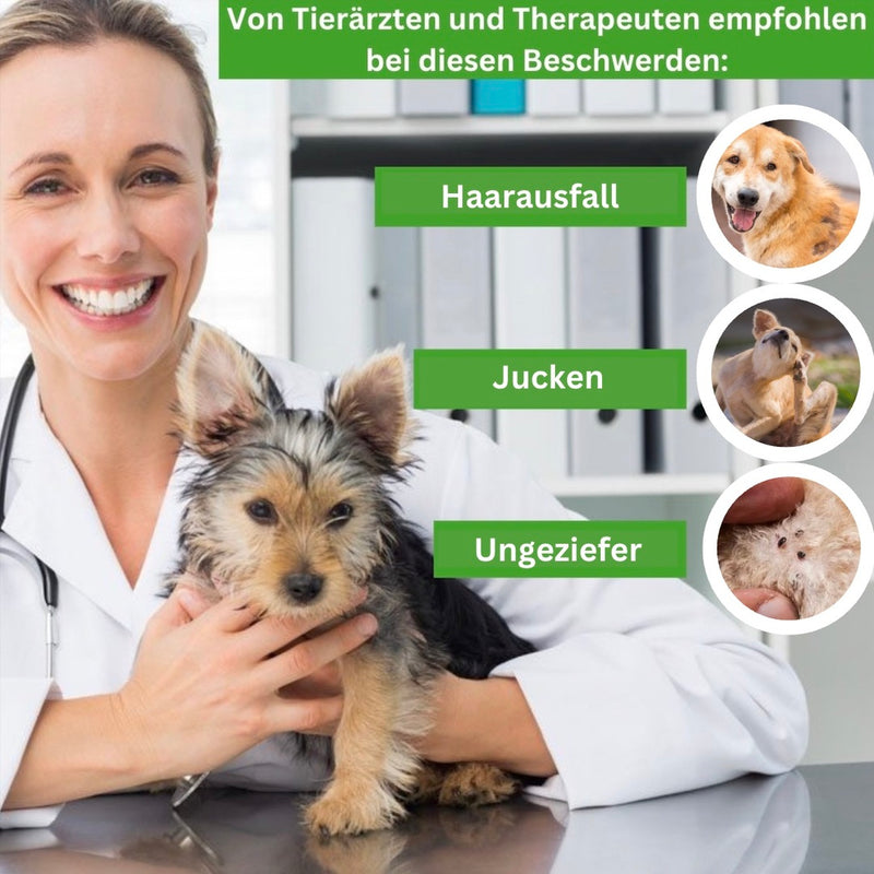 HABOZ GoHydro - Innovative Hundedusche für komfortable Reinigung